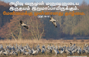 மேன்மைக்கு முன்னானது தாழ்மை