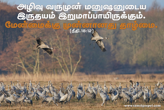 மேன்மைக்கு முன்னானது தாழ்மை