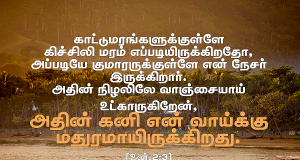 அதின் கனி வாய்க்கு மதுரமாயிருக்கிறது