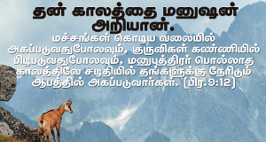 தன் காலத்தை மனுஷன் அறியான்