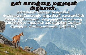 தன் காலத்தை மனுஷன் அறியான்