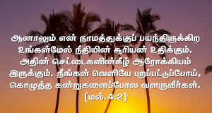நீதியின் சூரியன்