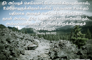 அப்படிச் சொல்லமாட்டோம் என்கிறபடியினால்