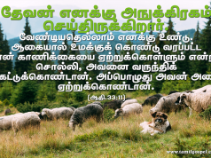 தேவன் எனக்கு அநுக்கிரகம் செய்திருக்கிறார்