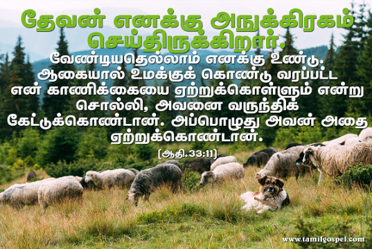 தேவன் எனக்கு அநுக்கிரகம் செய்திருக்கிறார்
