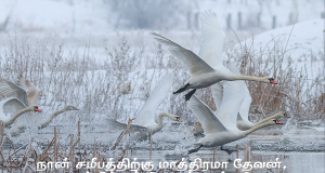 சமீபத்திற்கு மாத்திரமா தேவன்?