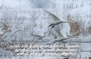 சமீபத்திற்கு மாத்திரமா தேவன்?