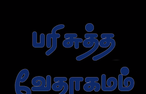 தமிழ் வேதாகமம் – 2. தீமோத்தேயு
