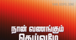 நான் வணங்கும் தெய்வமே