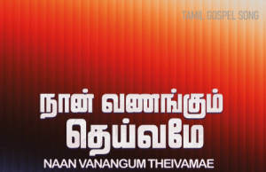 நான் வணங்கும் தெய்வமே