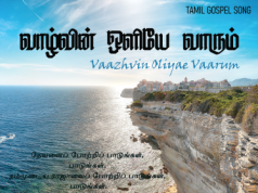 வாழ்வின் ஒளியே வாரும்