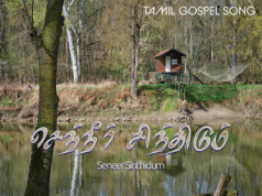 செந்நீர் சிந்திடும் சிலுவை முன்னே