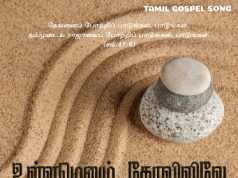 உள்ளமெனும் கோவிலிலே